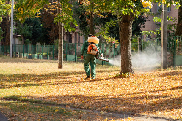 River Road, NC Pest Control Company